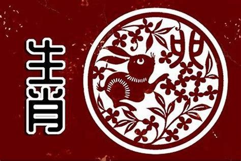 2024屬兔的運勢|2024年属兔人的全年运势 属兔人2024年每月运势及运程详解